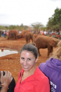 At the elephant orphanage. 