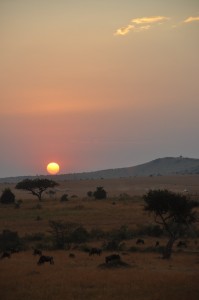 Sunset over the Mara