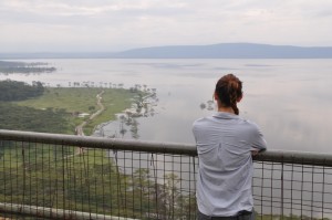 Overlooking the lake