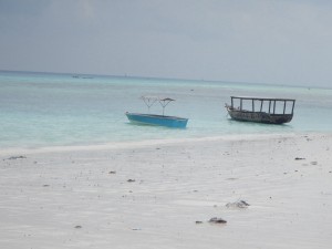 Dhows and tiny boats lined the shore